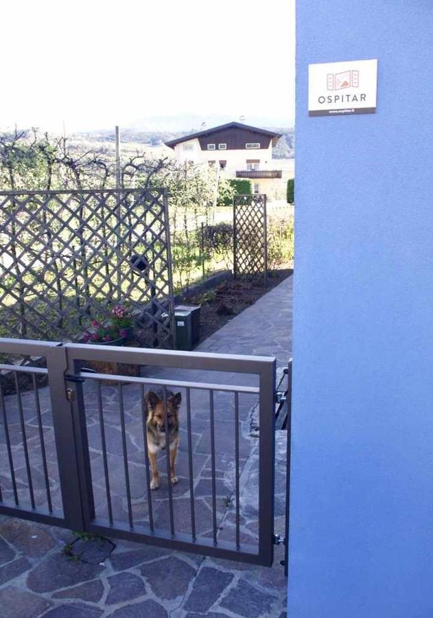 Casa Del Tempo Rosa Tassullo Ospitar Lejlighed Eksteriør billede